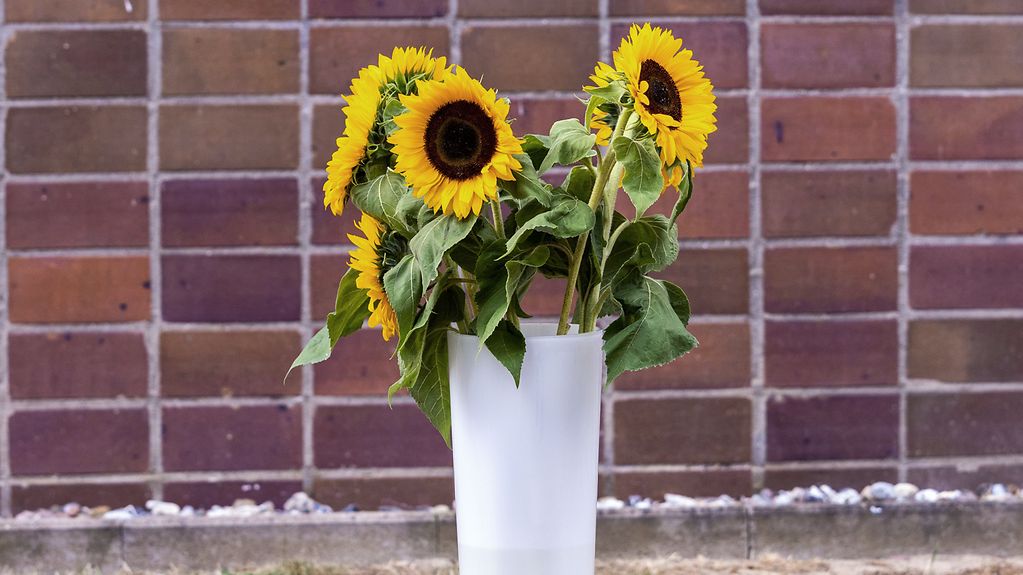 Sonnenblumen in einer Vase vor einer Wand
